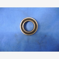 FAG 6007 2RSR Bearing, New